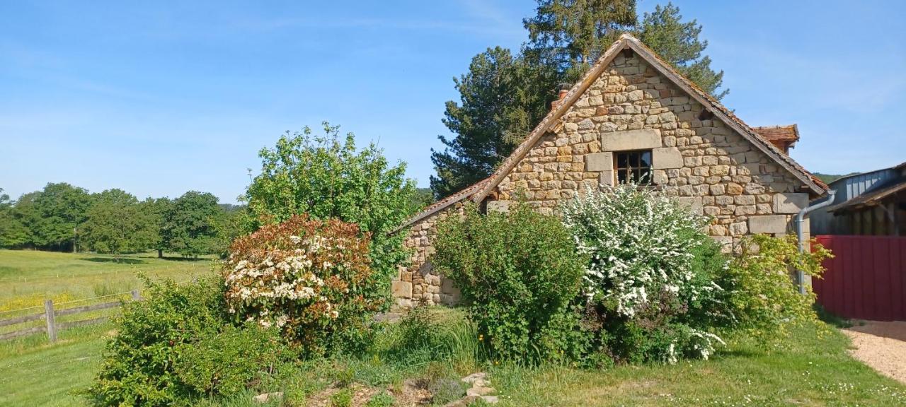 Вілла Domaine De Reniere Buxieres-les-Mines Екстер'єр фото